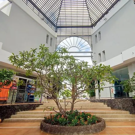 Nice Studio With Wifi, Pool, Near The Beach In Los Cristianos, Tenerife Sur * 洛斯克里斯蒂亚诺斯