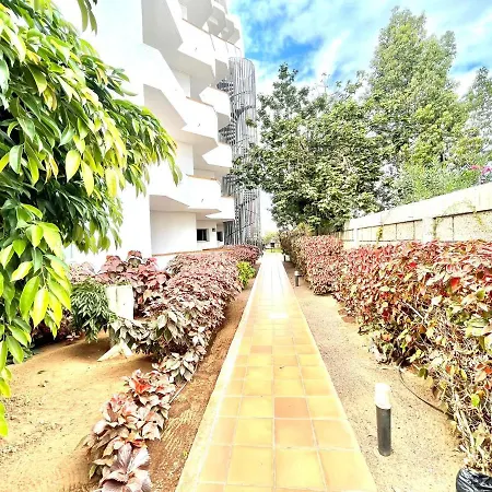Nice Studio With Wifi, Pool, Near The Beach In Los Cristianos, Tenerife Sur
