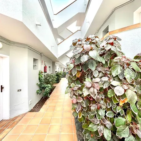 Nice Studio With Wifi, Pool, Near The Beach In Los Cristianos, Tenerife Sur *